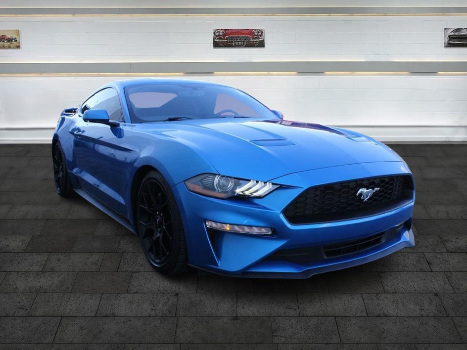 2019 Ford Mustang EcoBoost's photo