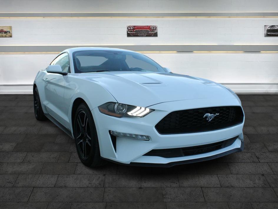 2019 Ford Mustang EcoBoost's photo