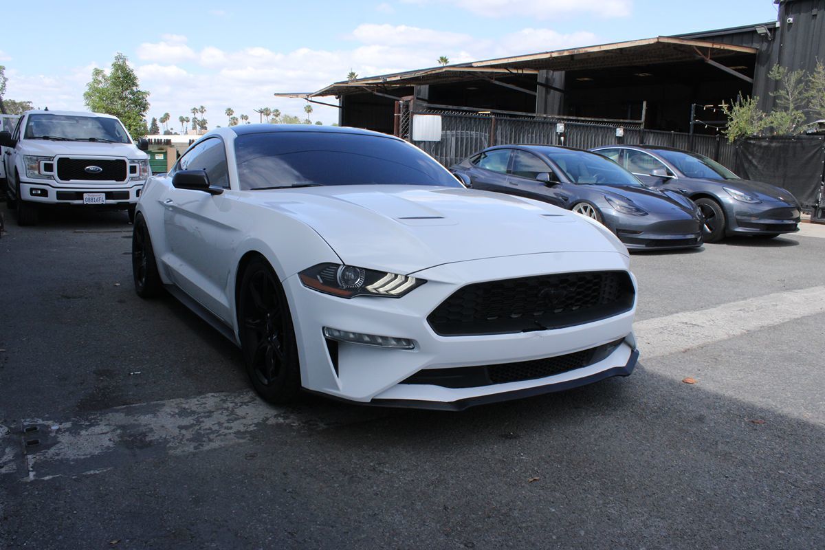 2019 Ford Mustang EcoBoost