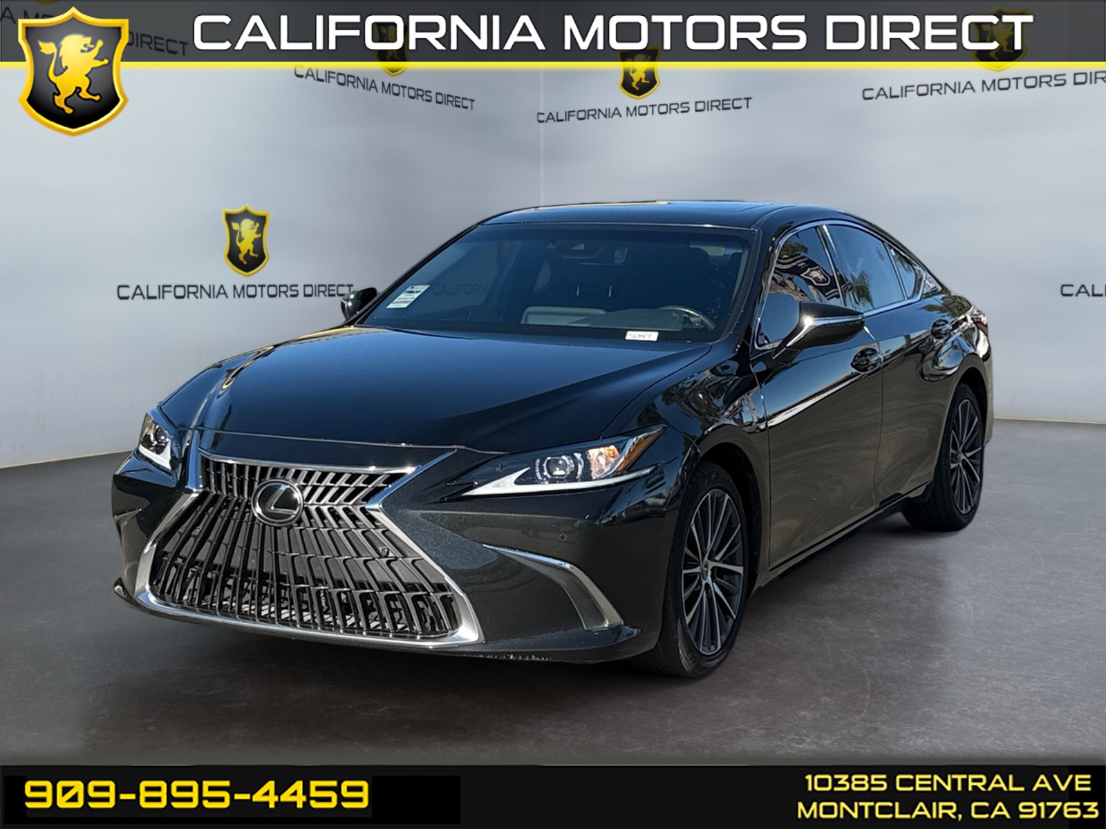 2023 Lexus ES Base's photo