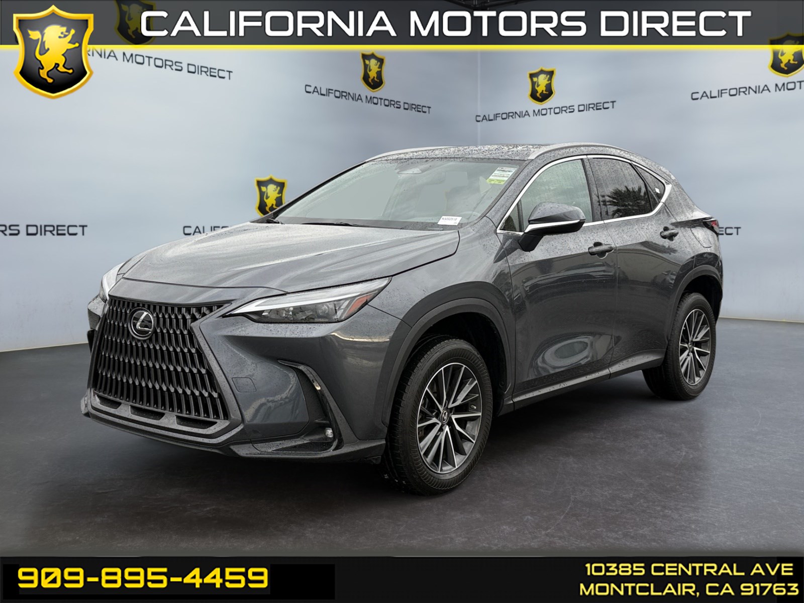 2022 Lexus NX Hybrid 350h's photo