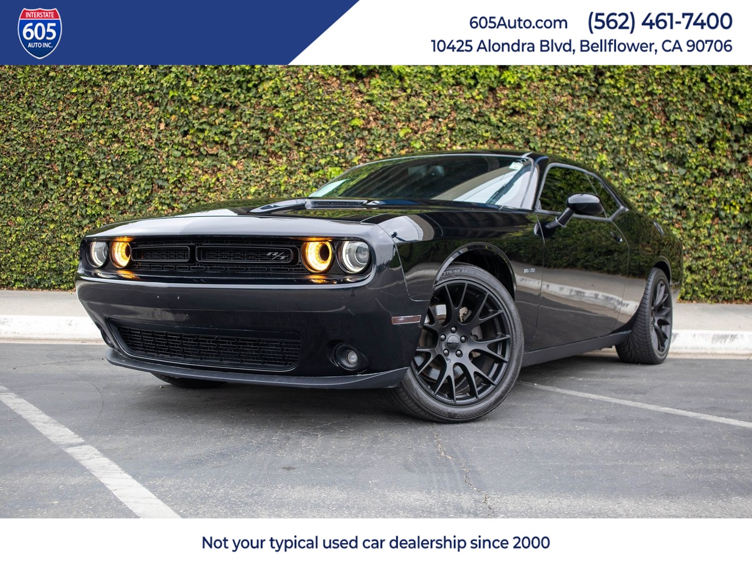 2016 Dodge Challenger R/T's photo