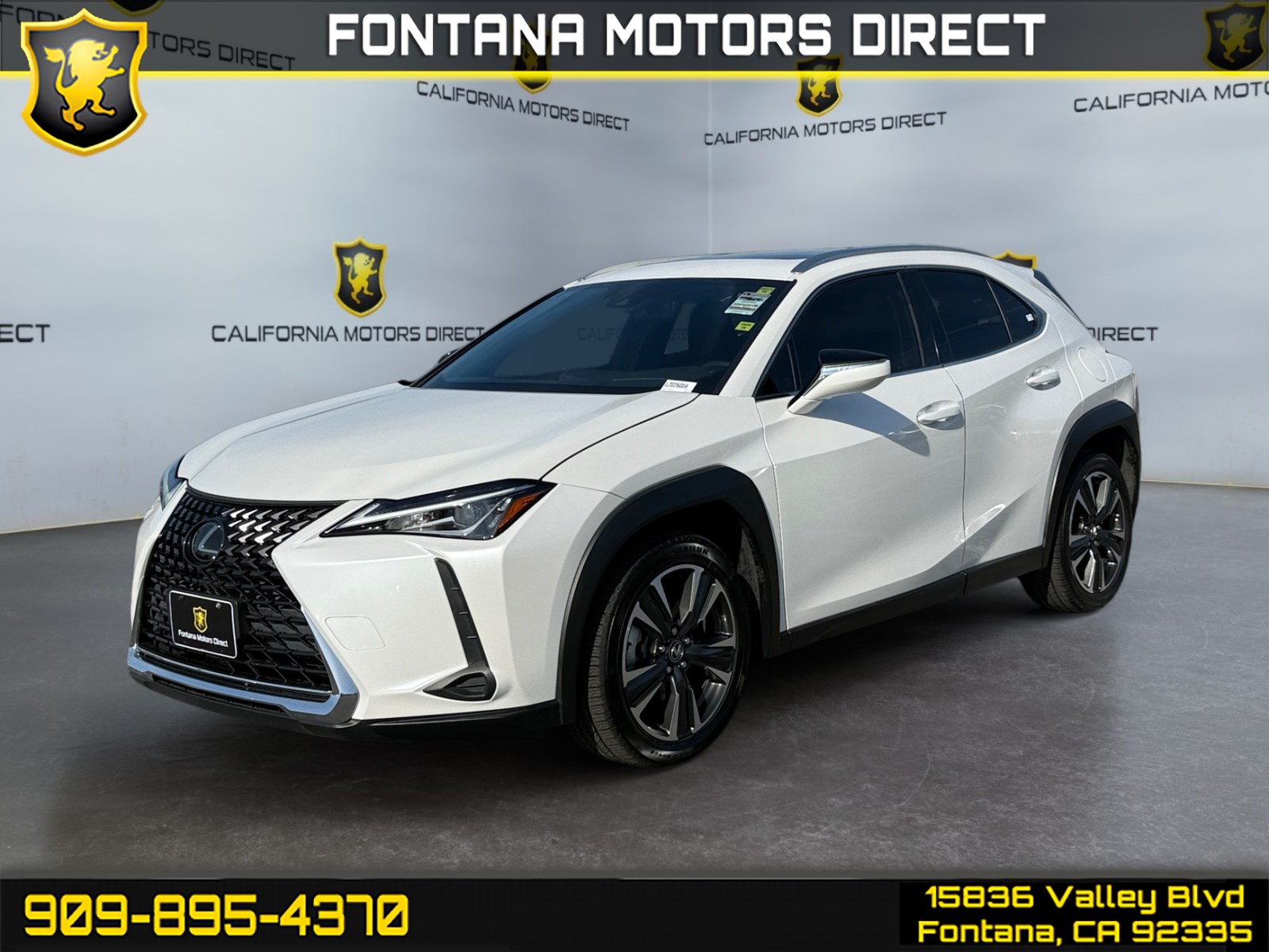 2020 Lexus UX 200's photo