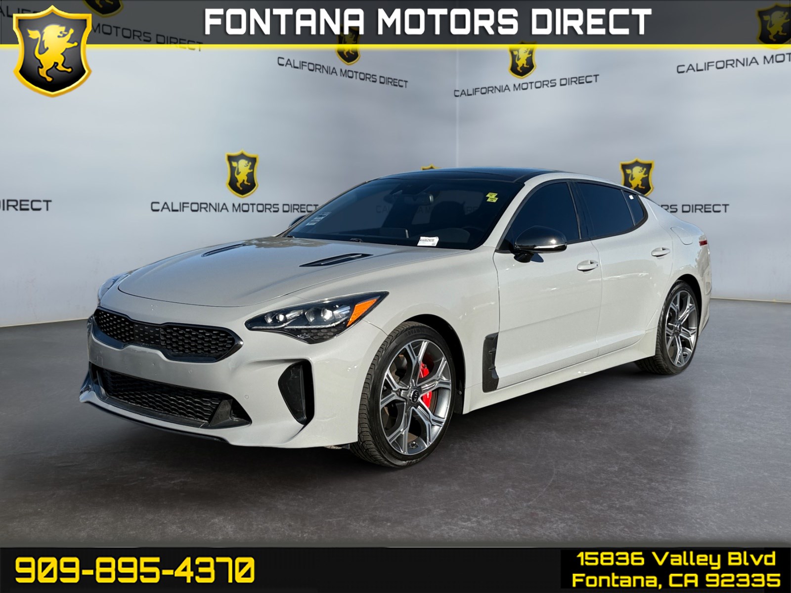 2019 Kia Stinger GT1's photo