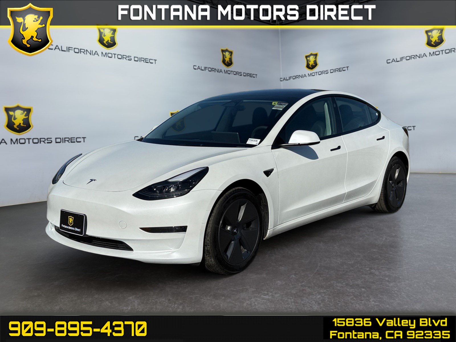 2023 Tesla Model 3 Base's photo