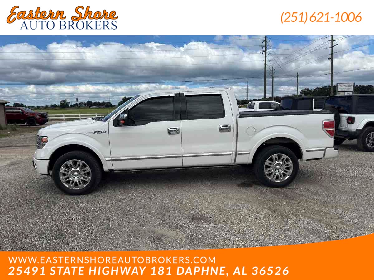 2013 Ford F-150 Platinum