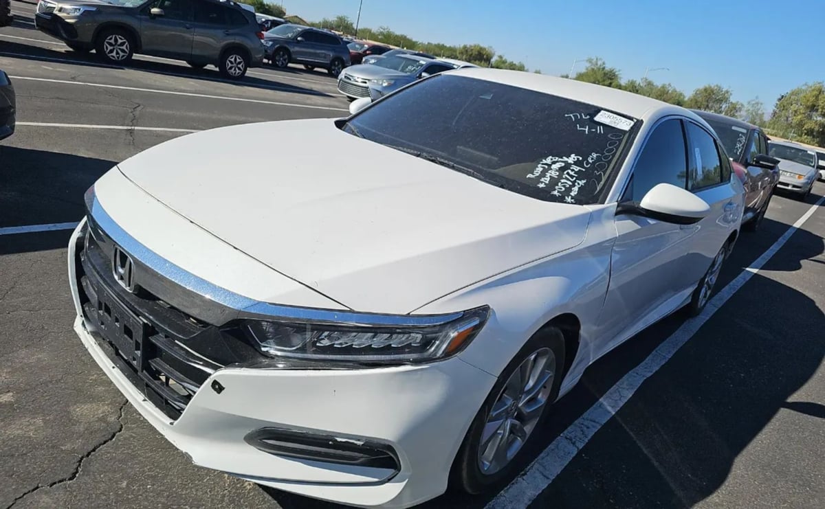 2019 Honda Accord LX's photo