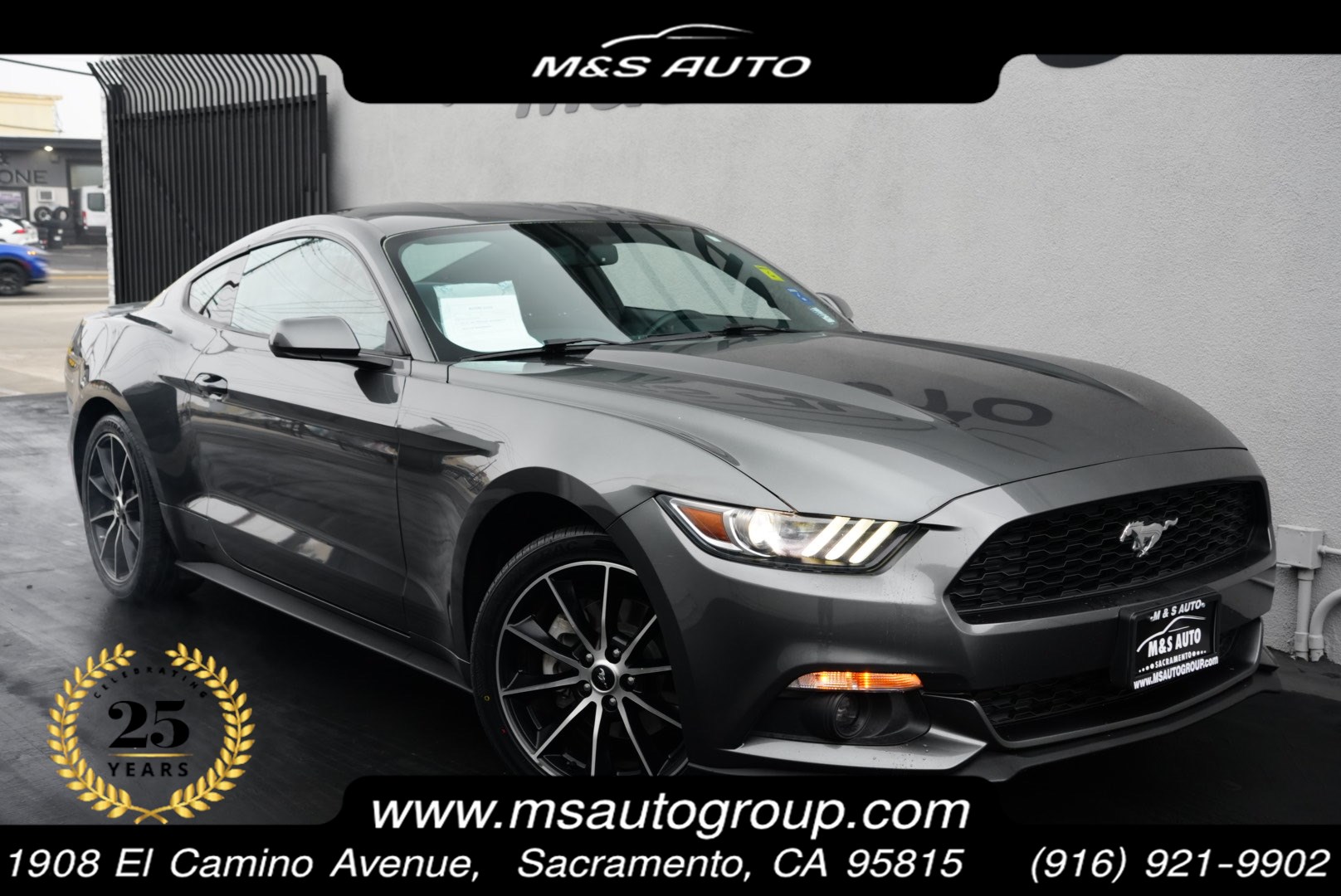 2016 Ford Mustang EcoBoost's photo