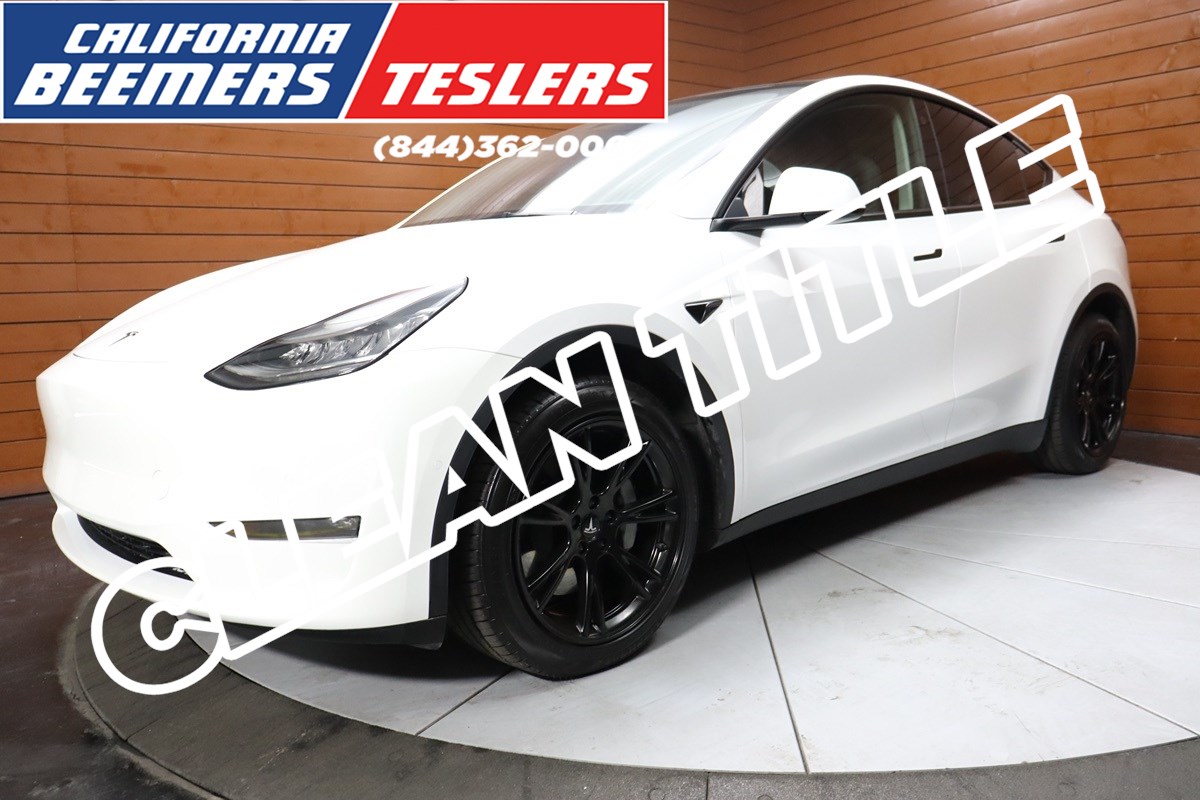 2023 Tesla Model Y Base's photo