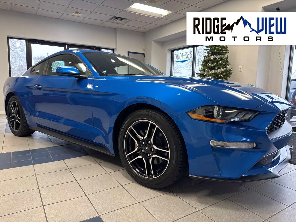 2019 Ford Mustang EcoBoost's photo