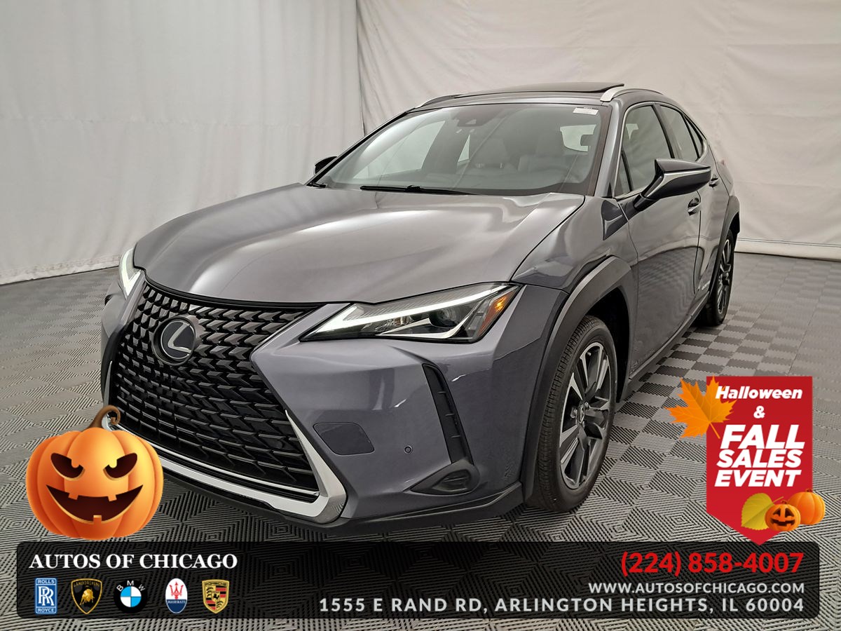 2020 Lexus UX Hybrid 250h