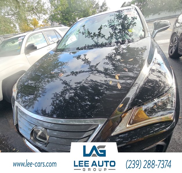 2019 Lexus RX 350's photo