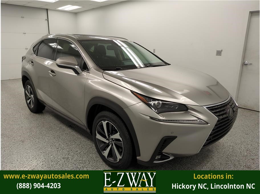 2018 Lexus NX 300's photo