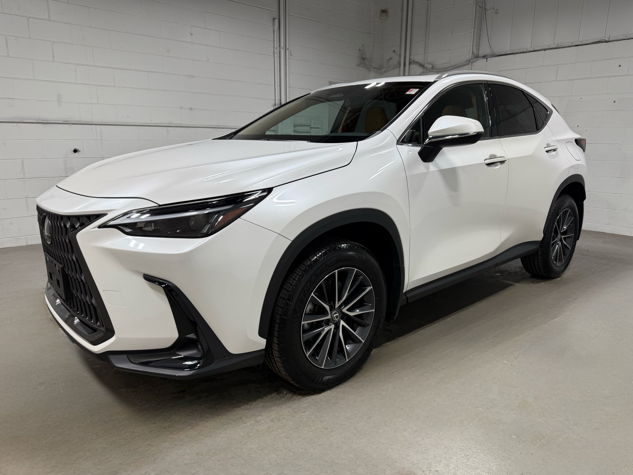 2024 Lexus NX 350's photo