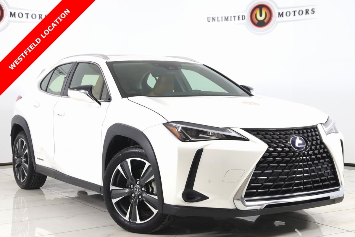 2019 Lexus UX Hybrid
