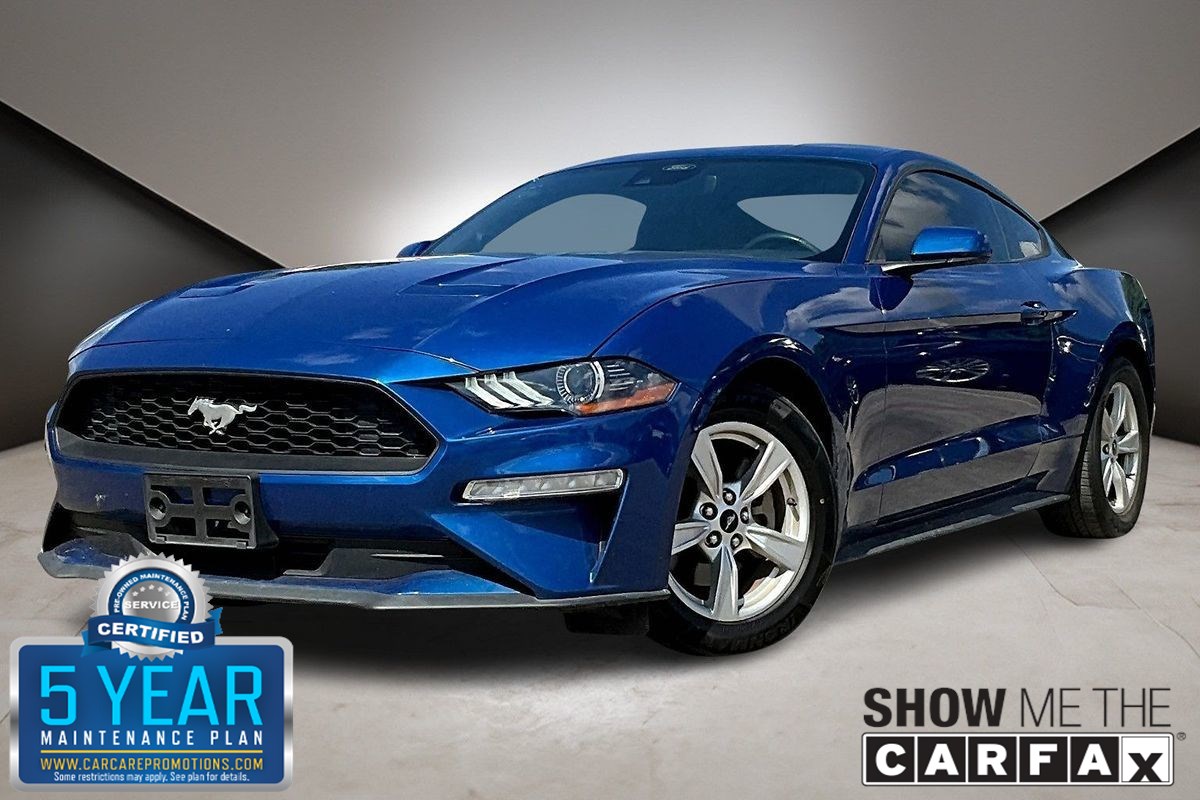 2023 Ford Mustang EcoBoost's photo