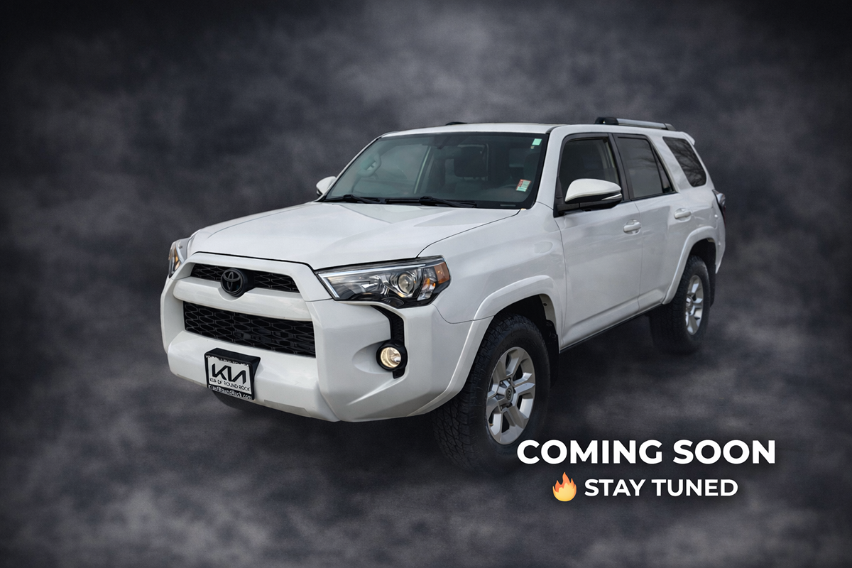 2019 Toyota 4Runner SR5 Premium's photo