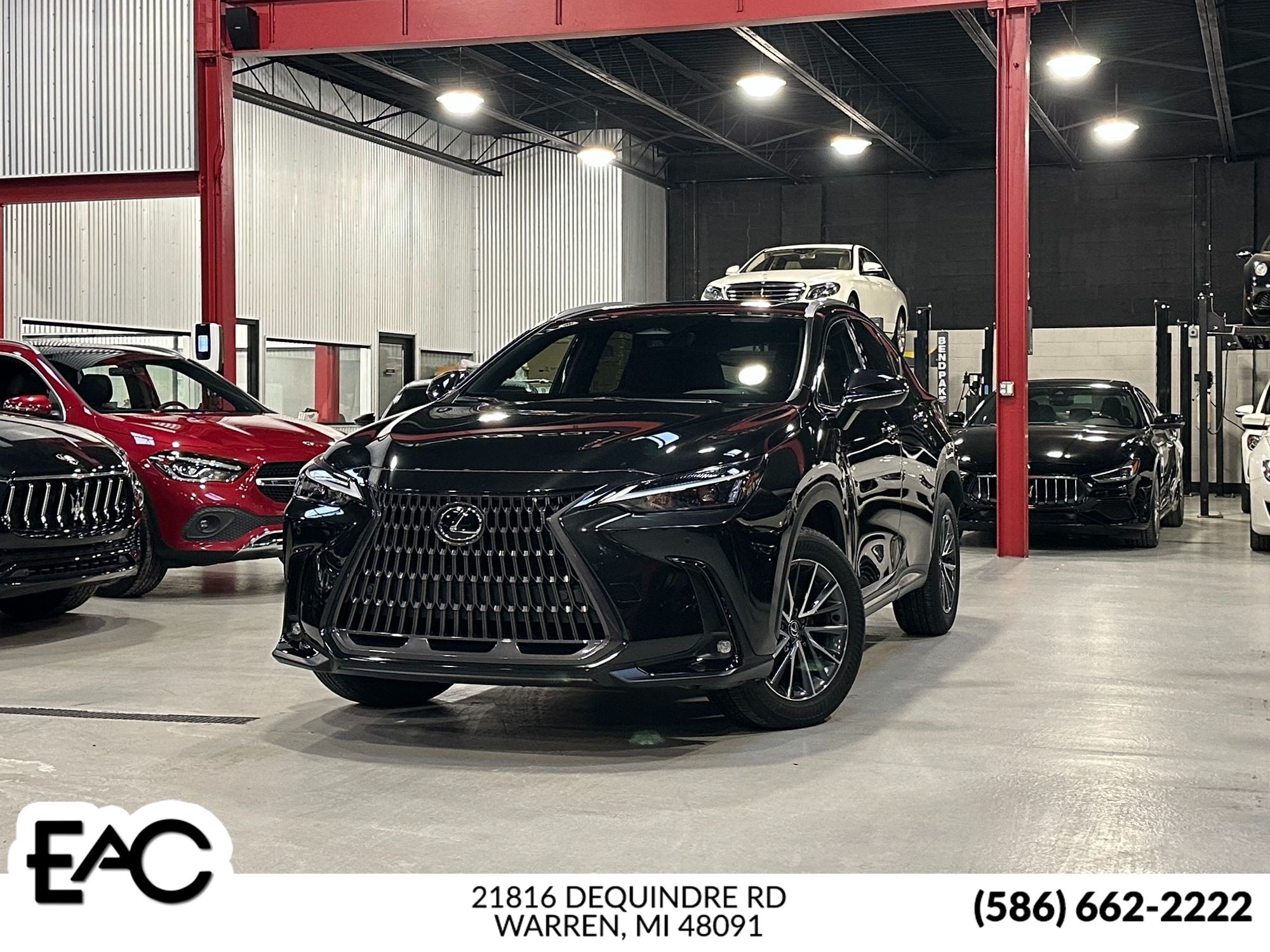 2025 Lexus NX 350's photo