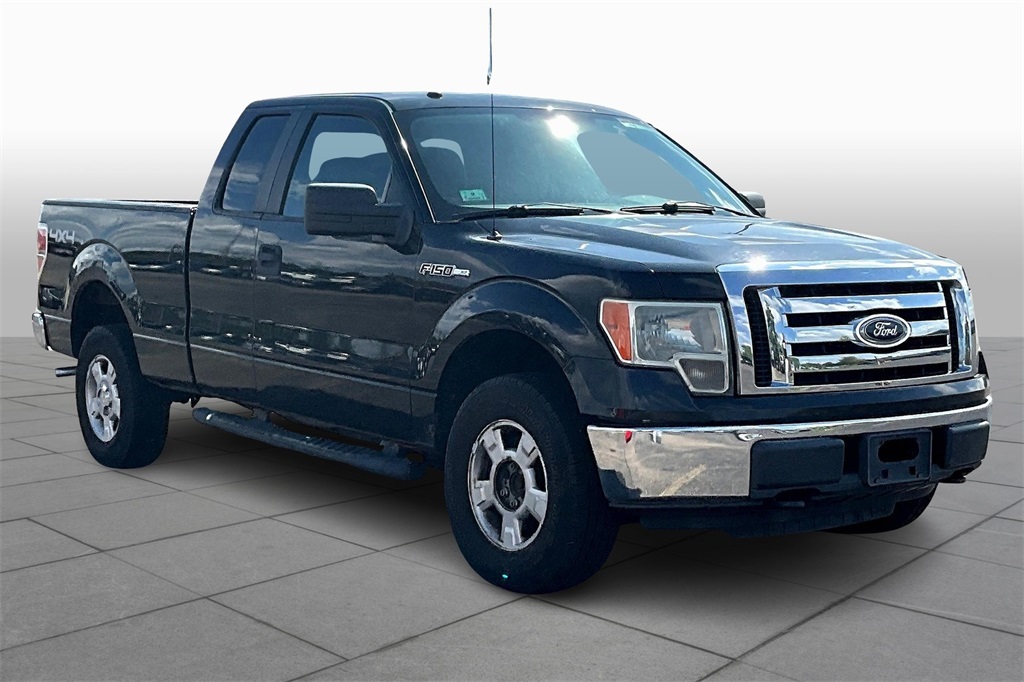 2010 Ford F-150 XL's photo