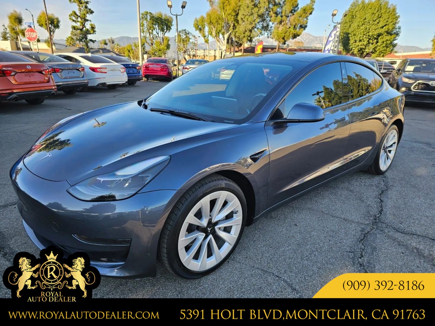 2023 Tesla Model 3 Base
