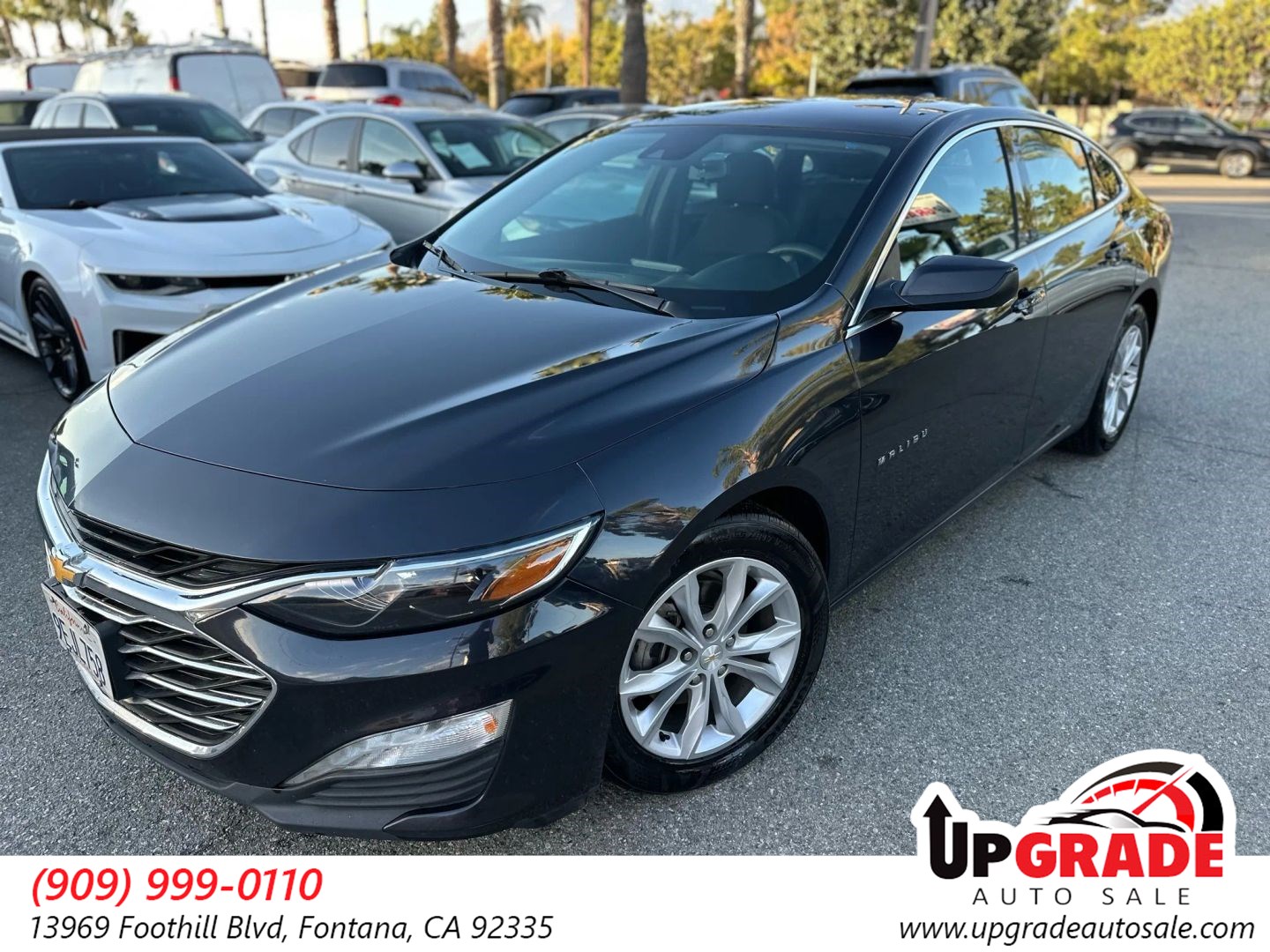 2023 Chevrolet Malibu 1LT's photo