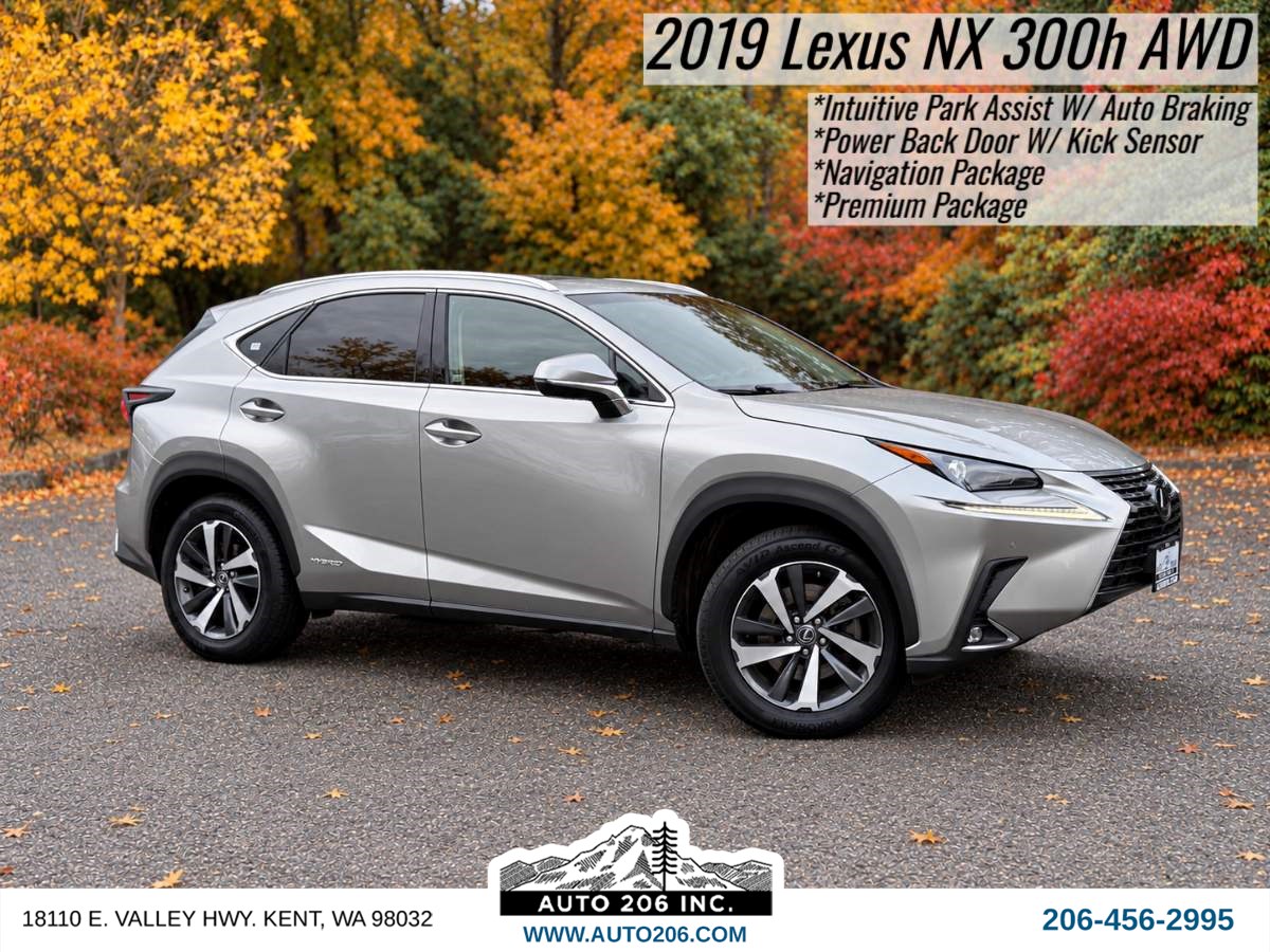 2019 Lexus NX Hybrid