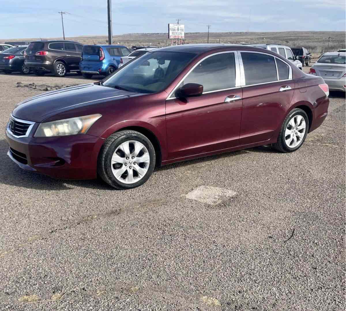 2008 Honda Accord EX-L V6's photo