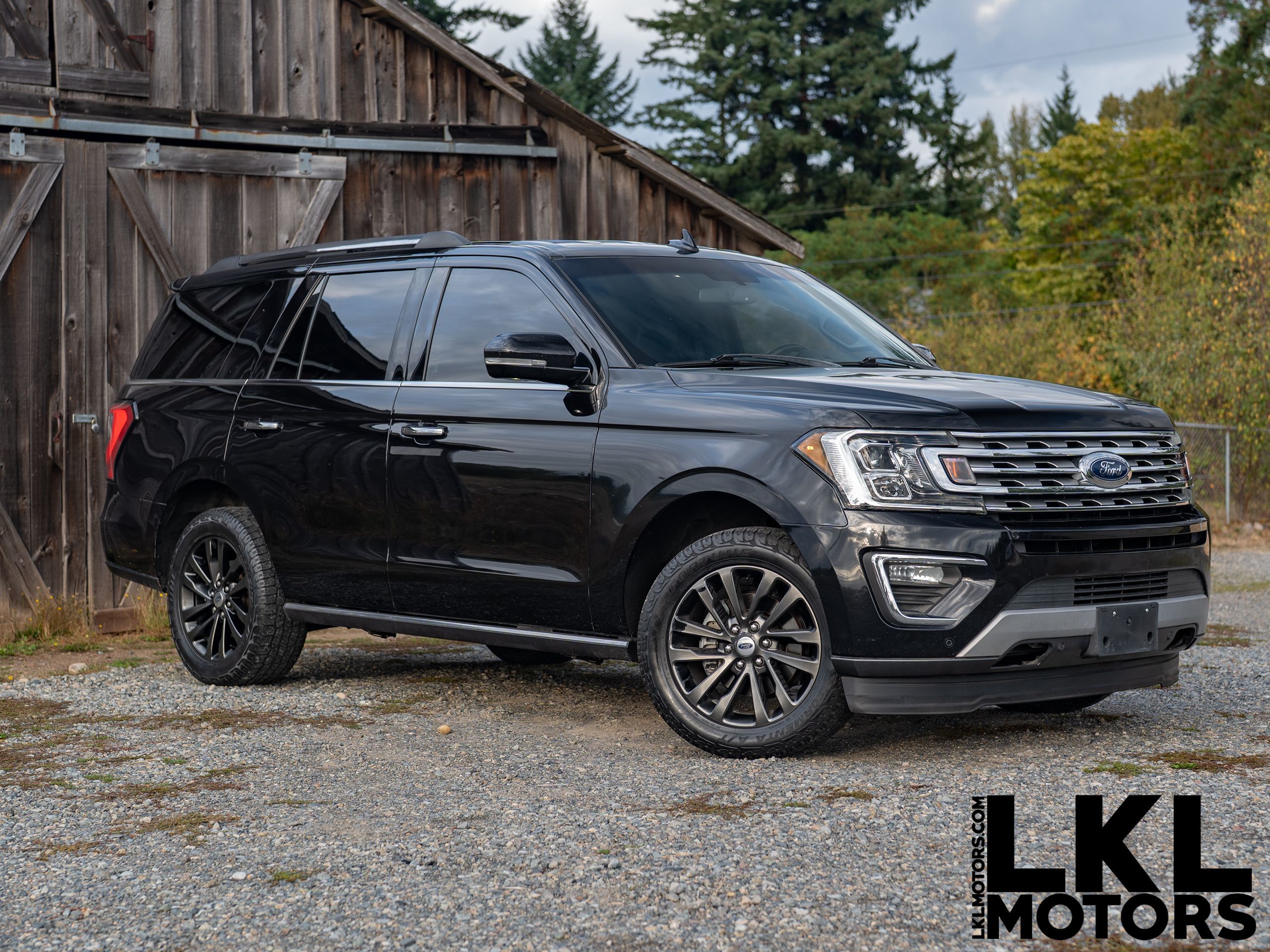 2019 Ford Expedition Limited's photo