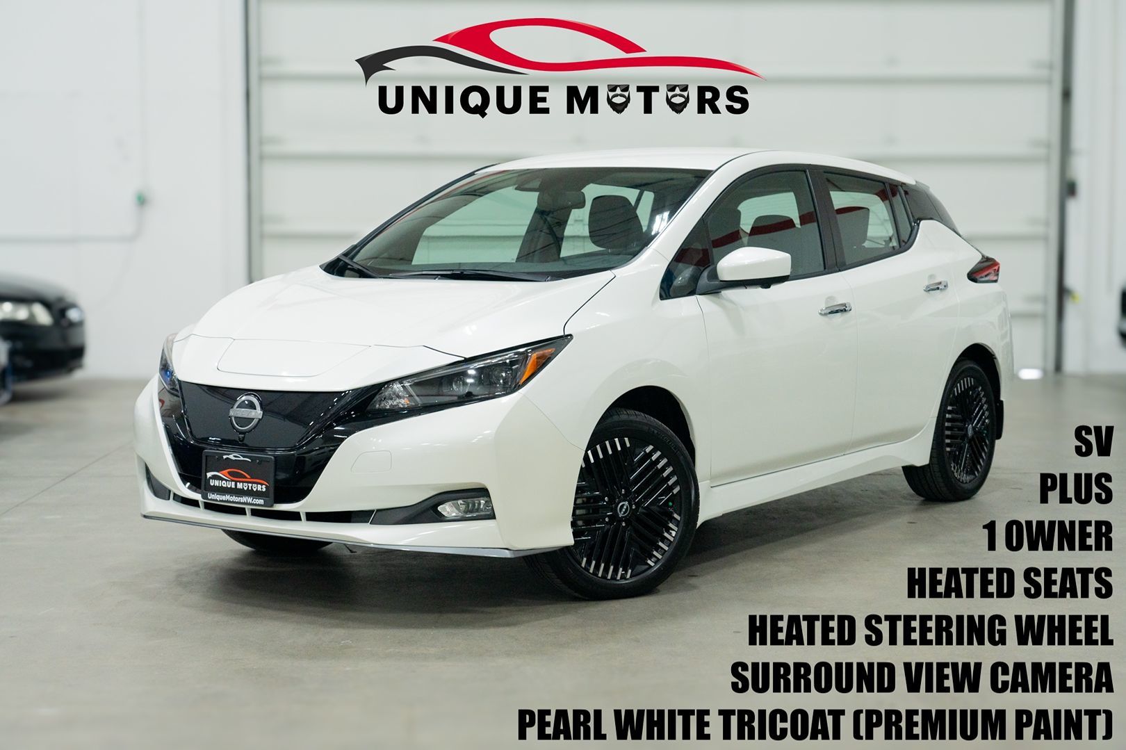 2025 Nissan Leaf SV PLUS's photo