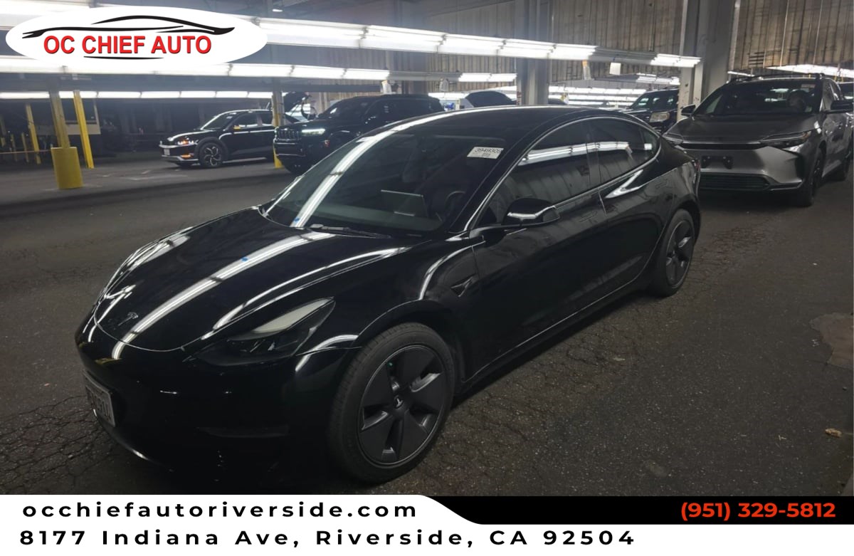 2023 Tesla Model 3 Base's photo