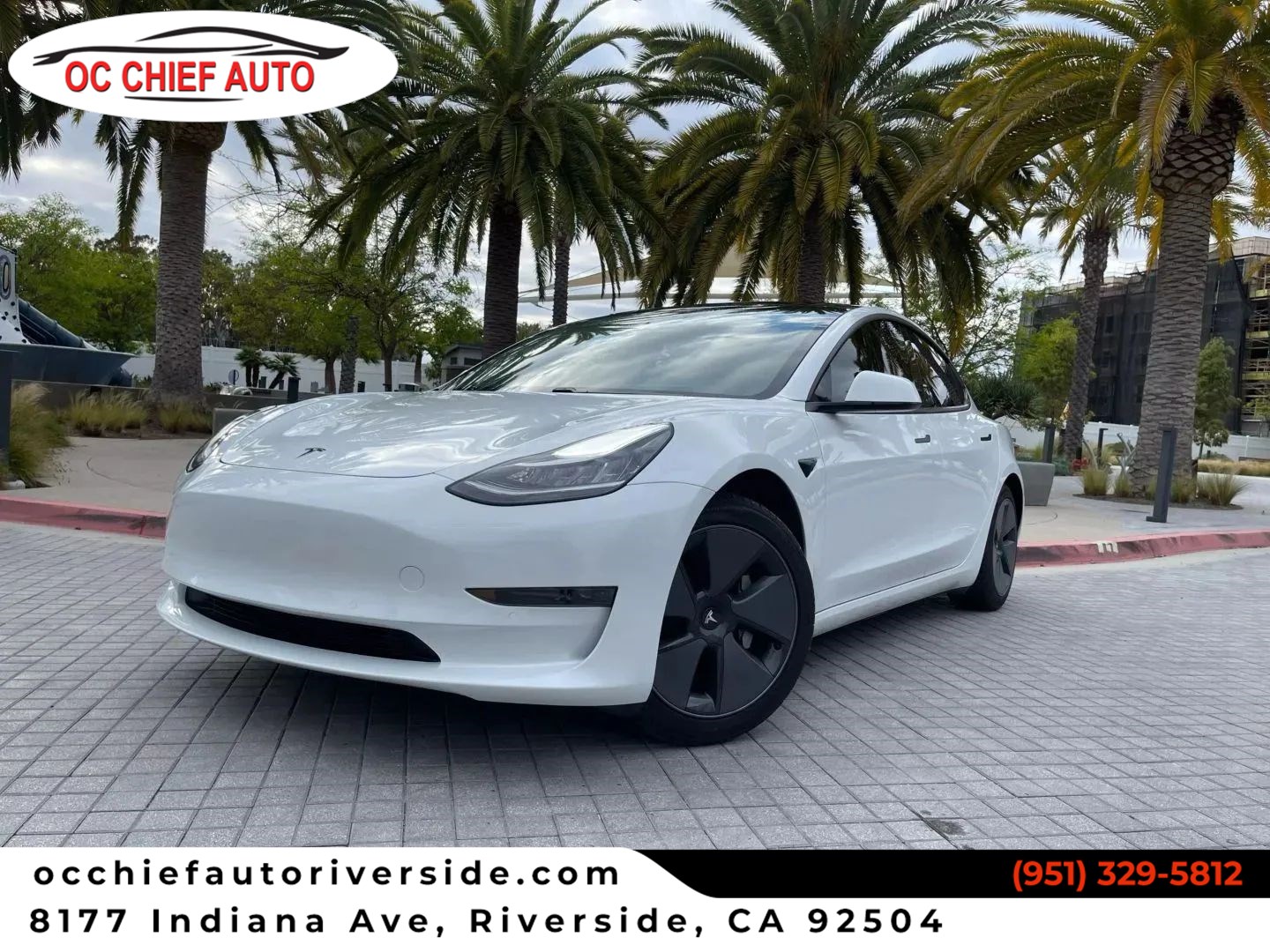 2023 Tesla Model 3 Base's photo