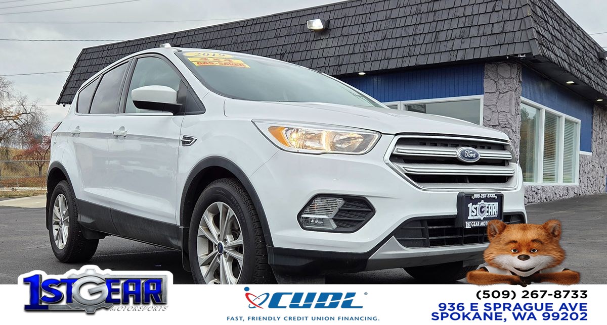 2019 Ford Escape SE's photo
