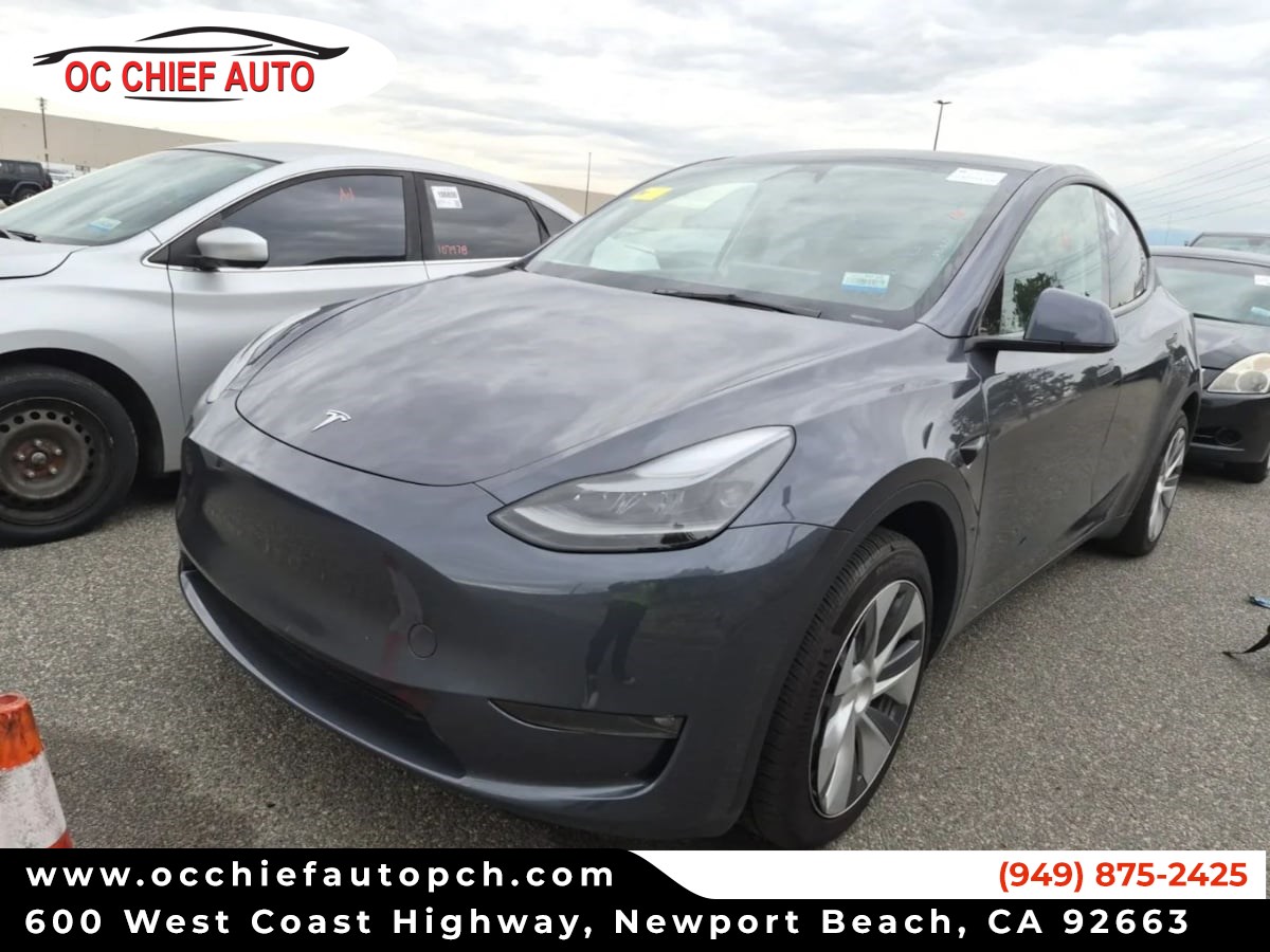 2023 Tesla Model Y Base's photo