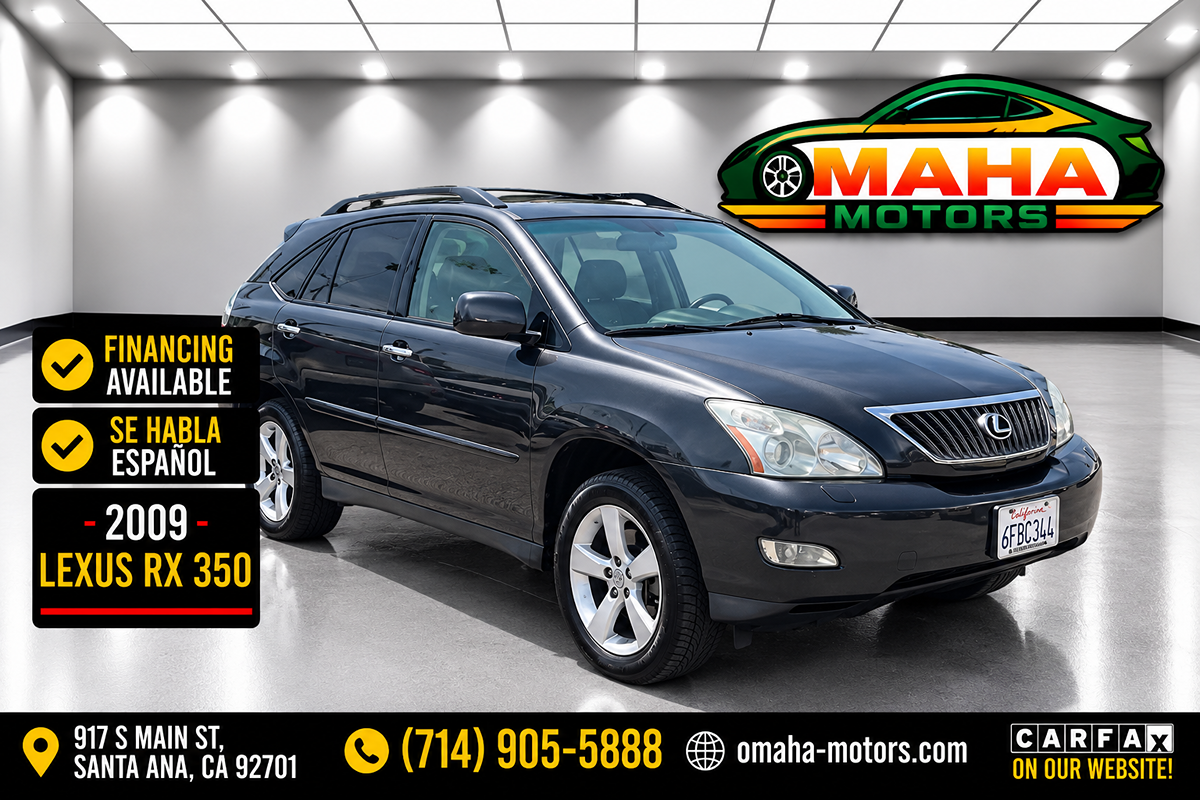 2009 Lexus RX