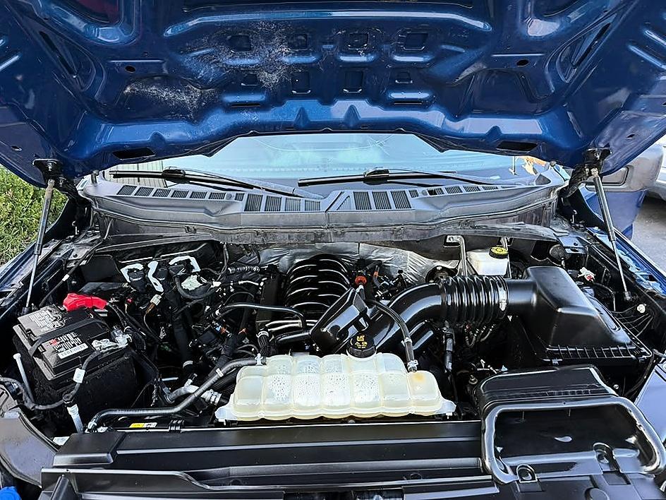 Ford F-150 photo 26
