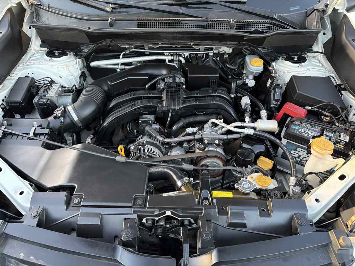 Image #24