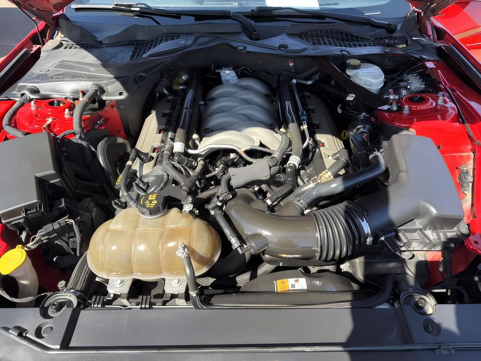 Ford Mustang photo 19