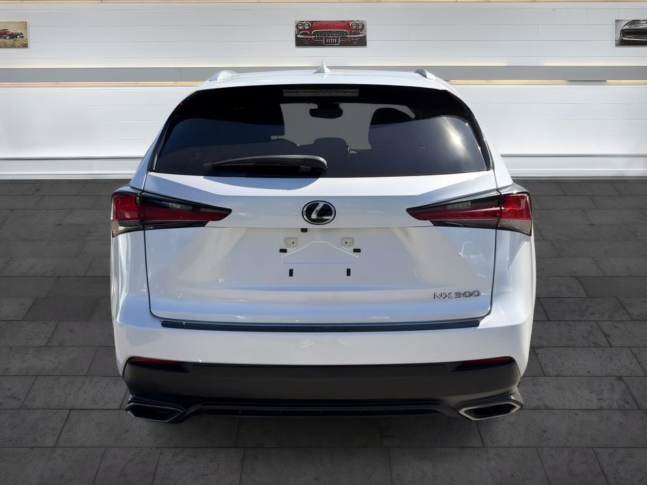 Lexus NX photo 5