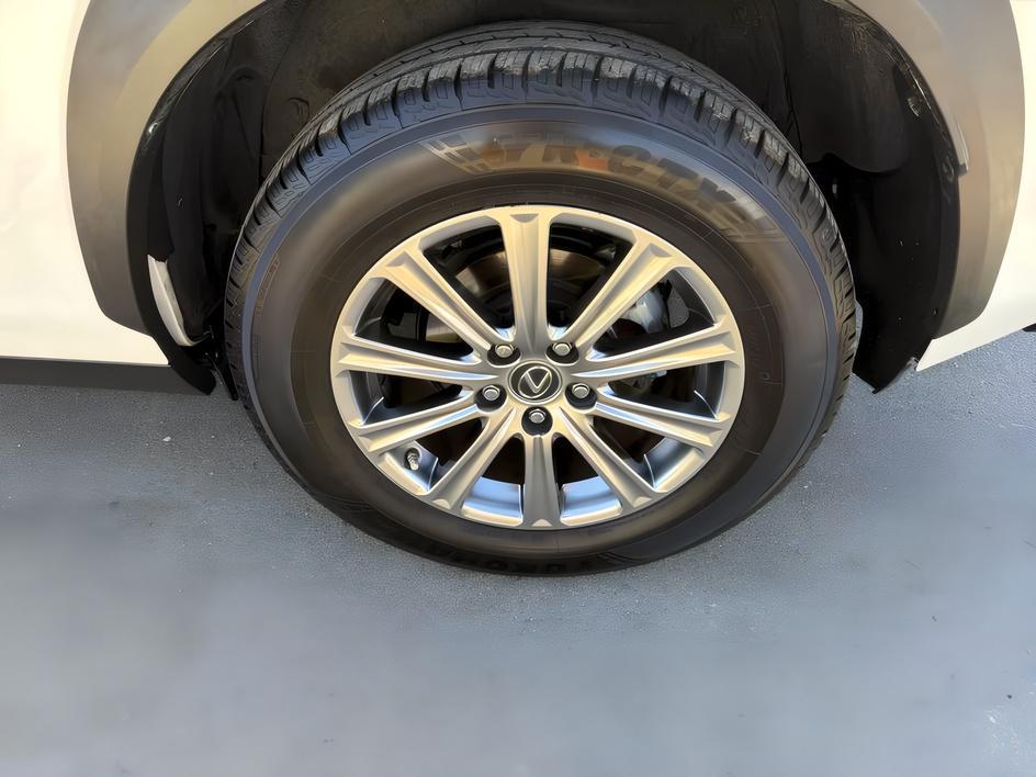 Lexus NX photo 8