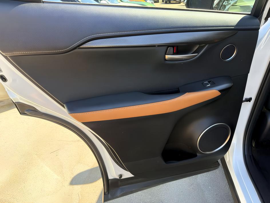 Lexus NX photo 9