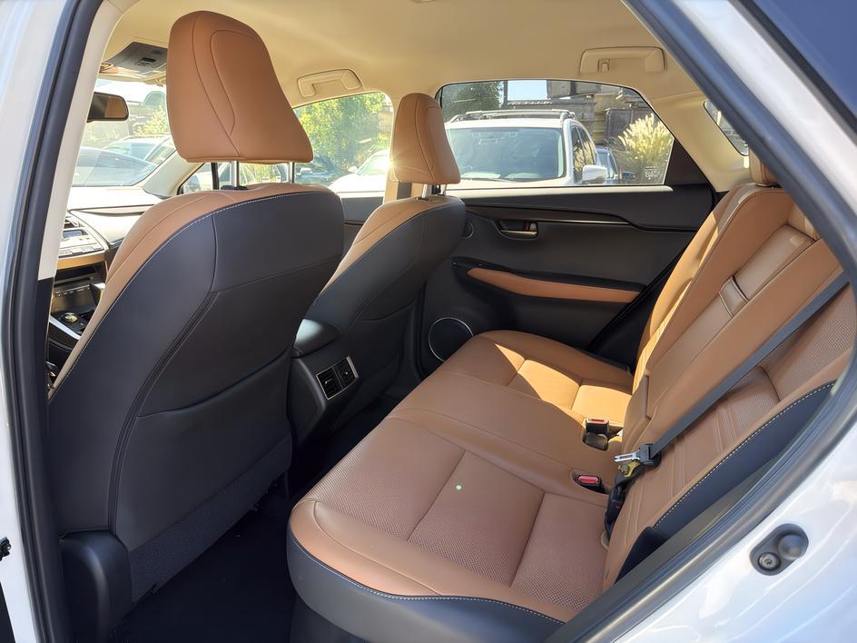 Lexus NX photo 10
