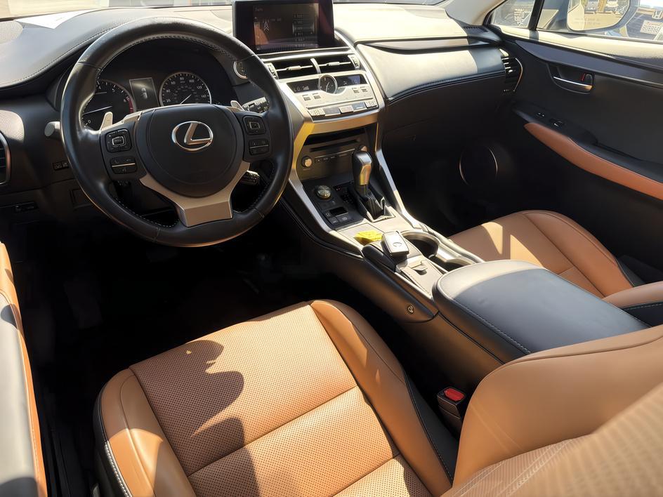 Lexus NX photo 11