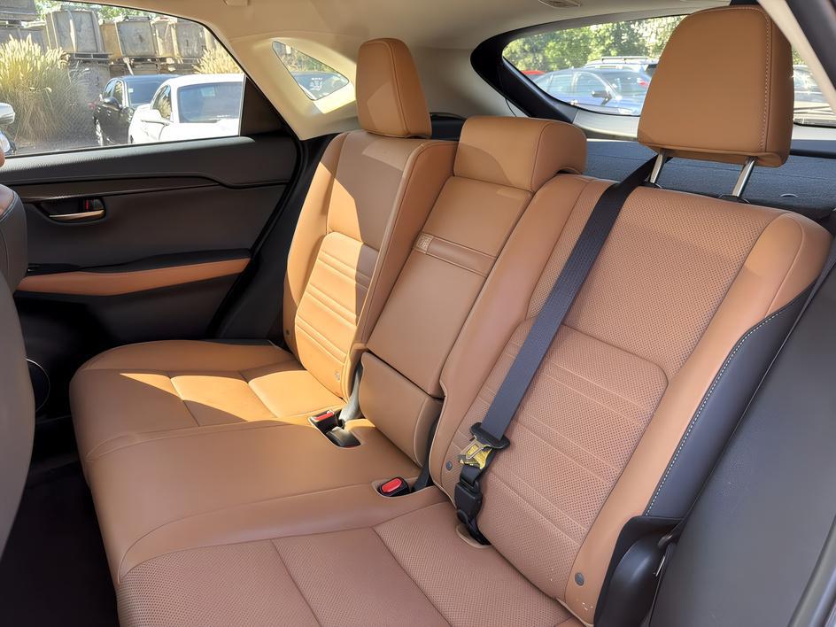 Lexus NX photo 12
