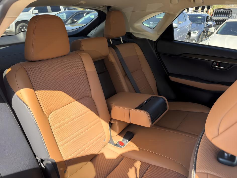 Lexus NX photo 18