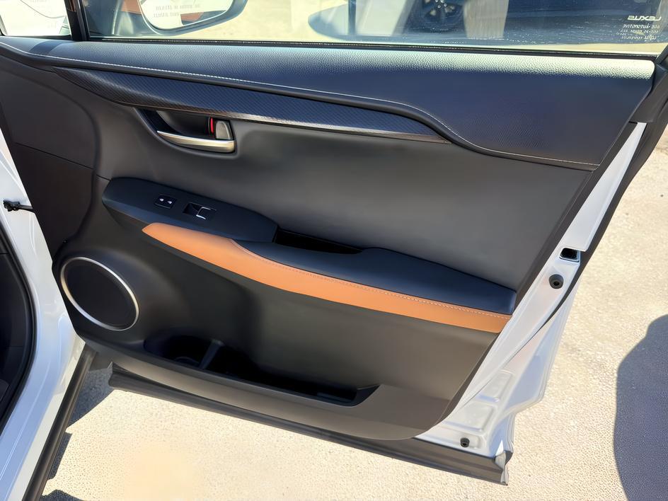 Lexus NX photo 19