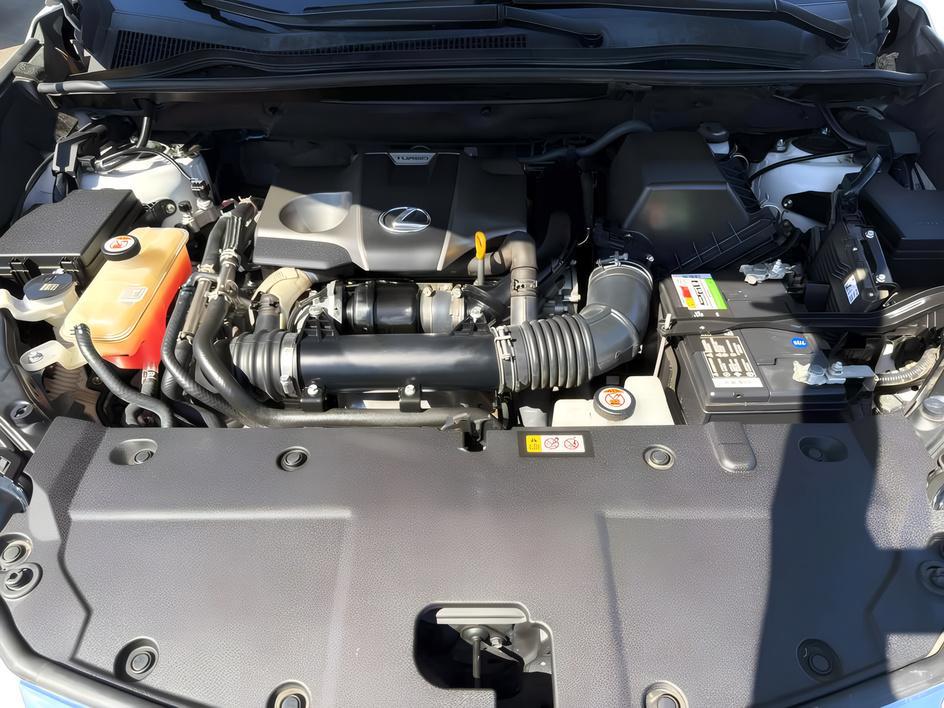 Lexus NX photo 22