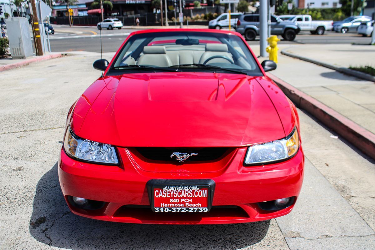 1999 Ford Mustang Cobra Convertible photo 9