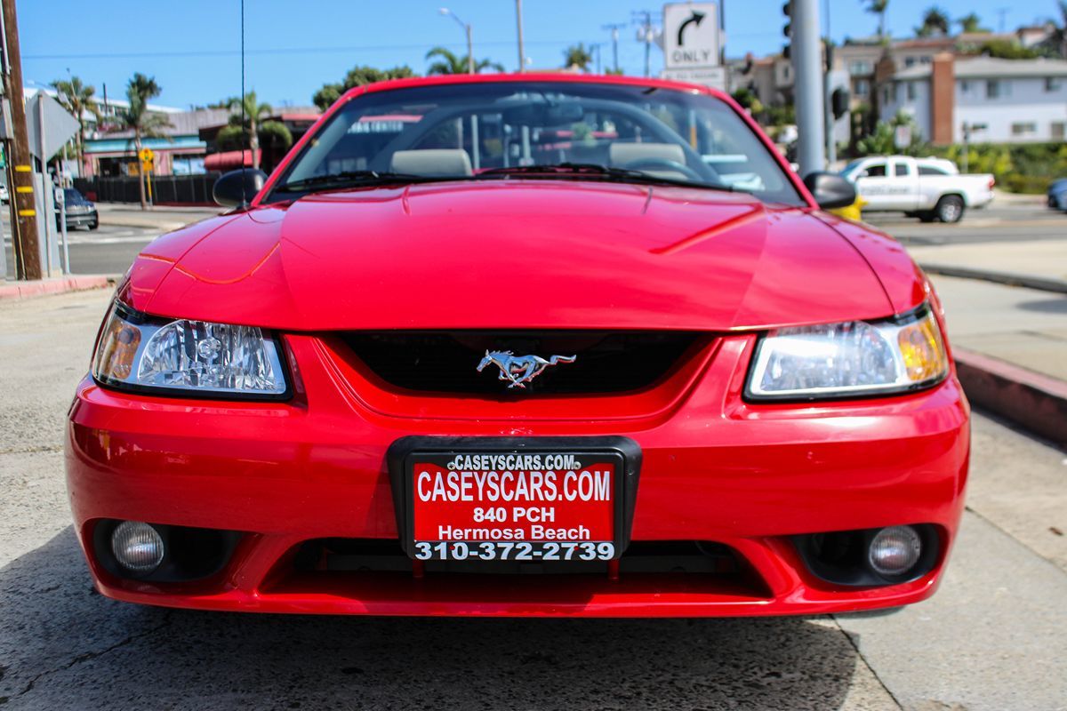 1999 Ford Mustang Cobra Convertible photo 10