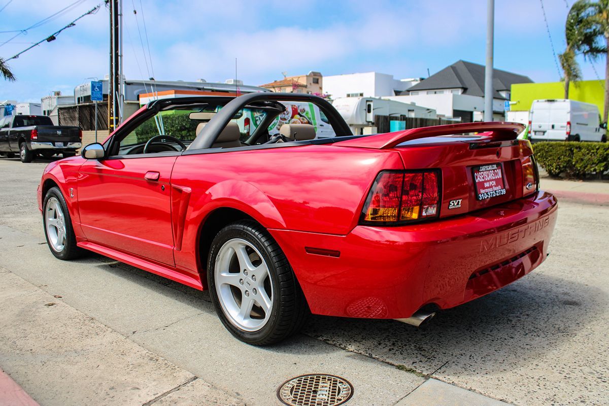 1999 Ford Mustang Cobra Convertible photo 3