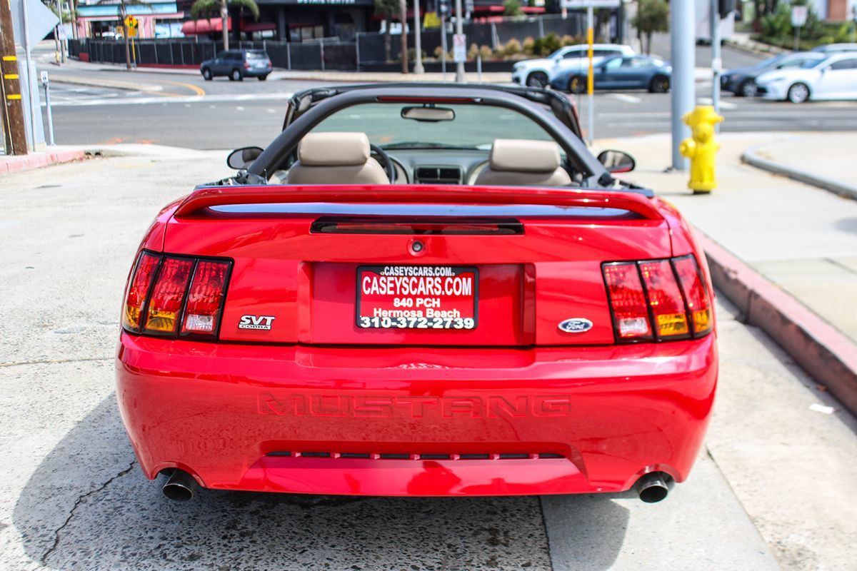 1999 Ford Mustang Cobra Convertible photo 4